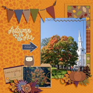 Fall- Lexington, MA