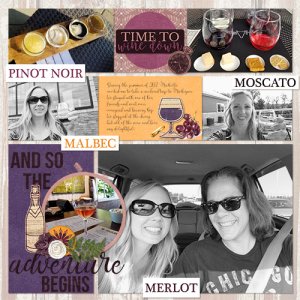 Michigan Wine