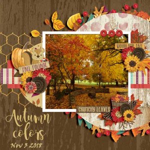 Woodland Fall