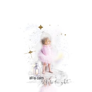 A Wish Before Midnight