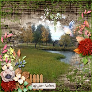 600-adbdesigns-road-not-taken-pia-01