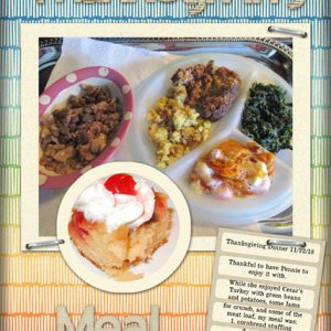 Thanksgiving Meal