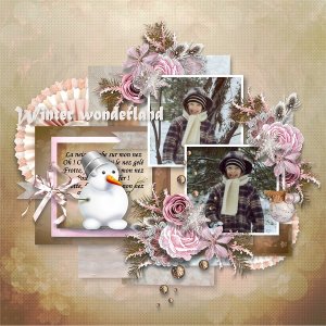 Winter wwonderland
