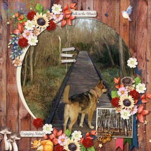 Southern Trails