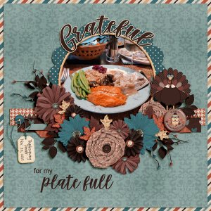 Grateful for my Plate Full