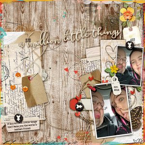 A Million Little Things