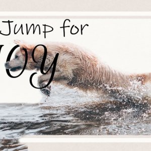 Jump for Joy