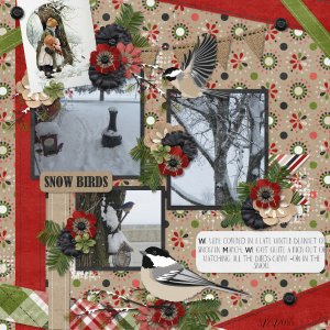 Snow Birds
