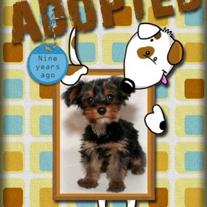 Adopted