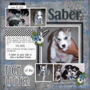 Pick of the Litter