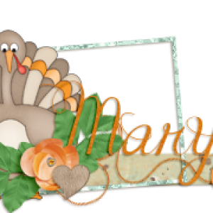 November siggy