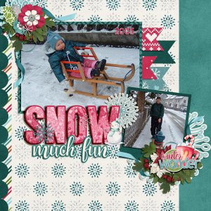 snow much fun
