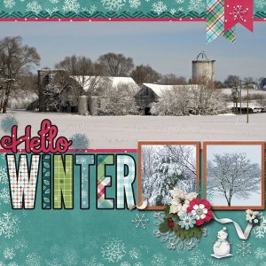 cap_snowflakekissestemps2---Frozen-Barn