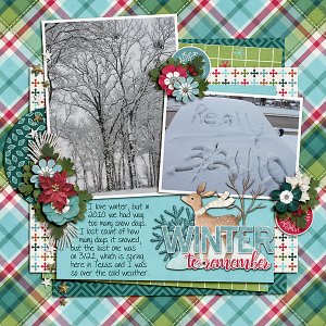 Winter to Remember