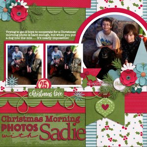 Christmas photo with Sadie