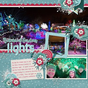 December-17-Botanical-GardensWEB