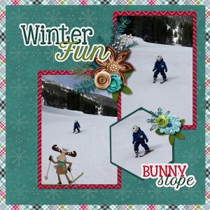 Winter Fun