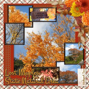 Lost Maples State Natural Area
