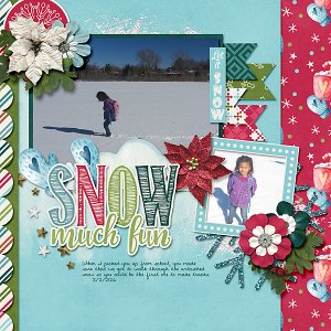 Snow Much Fun