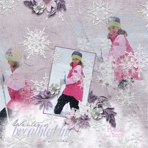 Winter Beauty