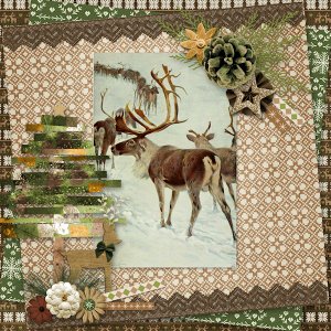 Scandinavian Reindeer