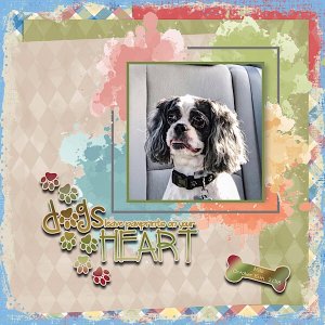 Paw prints on Your Heart