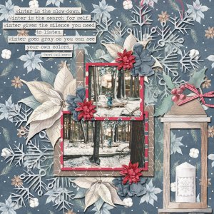 Connie Prince Challange December-I used the provided kit.