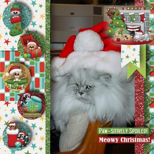 Andrew Plays Santa