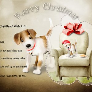 Merry Christmas