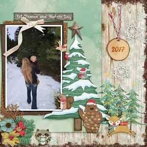 Christmas Wonderland