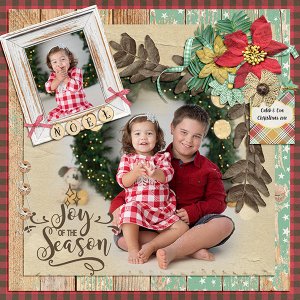 Joy of the Season