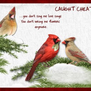 Caught Cheatin'