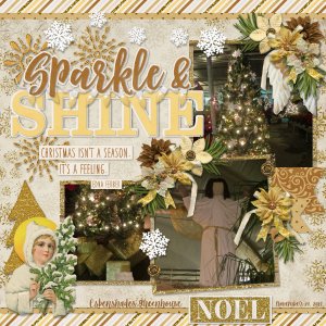 Sparkle + Shine