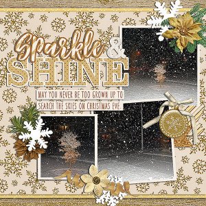 sparkle and shine