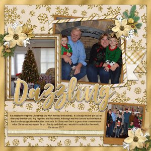 cap_holidaydazzletemps_altimasport