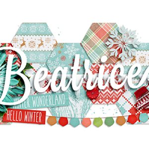 December Siggy