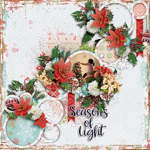 Seasons of Light