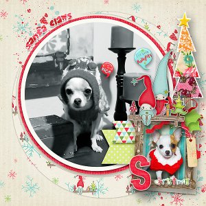 Tunie claus