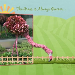 The Grass is Always Greener...