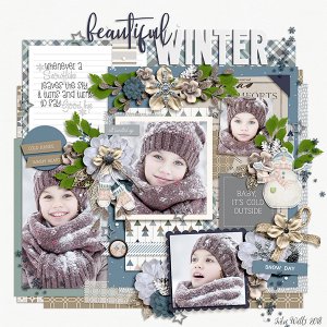 beautiful winter