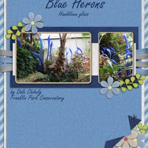 Blue Herons