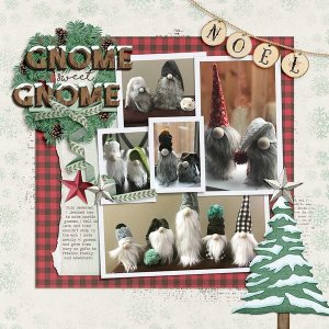 ~Gnome Sweet Gnome~