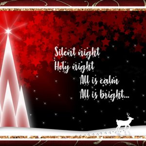 ATC 2018-113 Silent Night