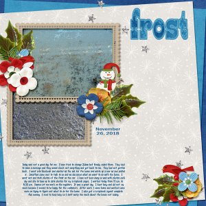 11-November_26_2018_Project_2015_December