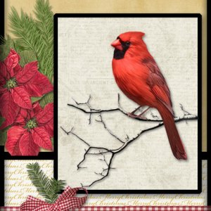 ATC 2018-114 The Cardinal