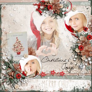 Christmas Joys