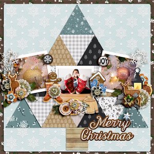 Festival of Trees