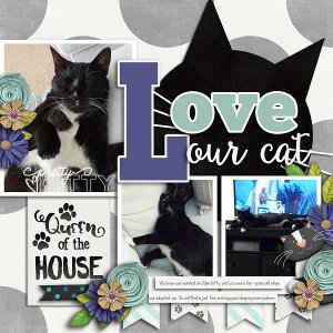 Love Our Cat