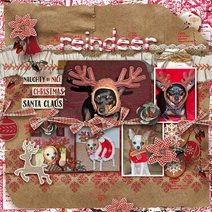 Antler Gallery