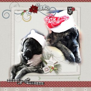 Santa_baby_Tiberius